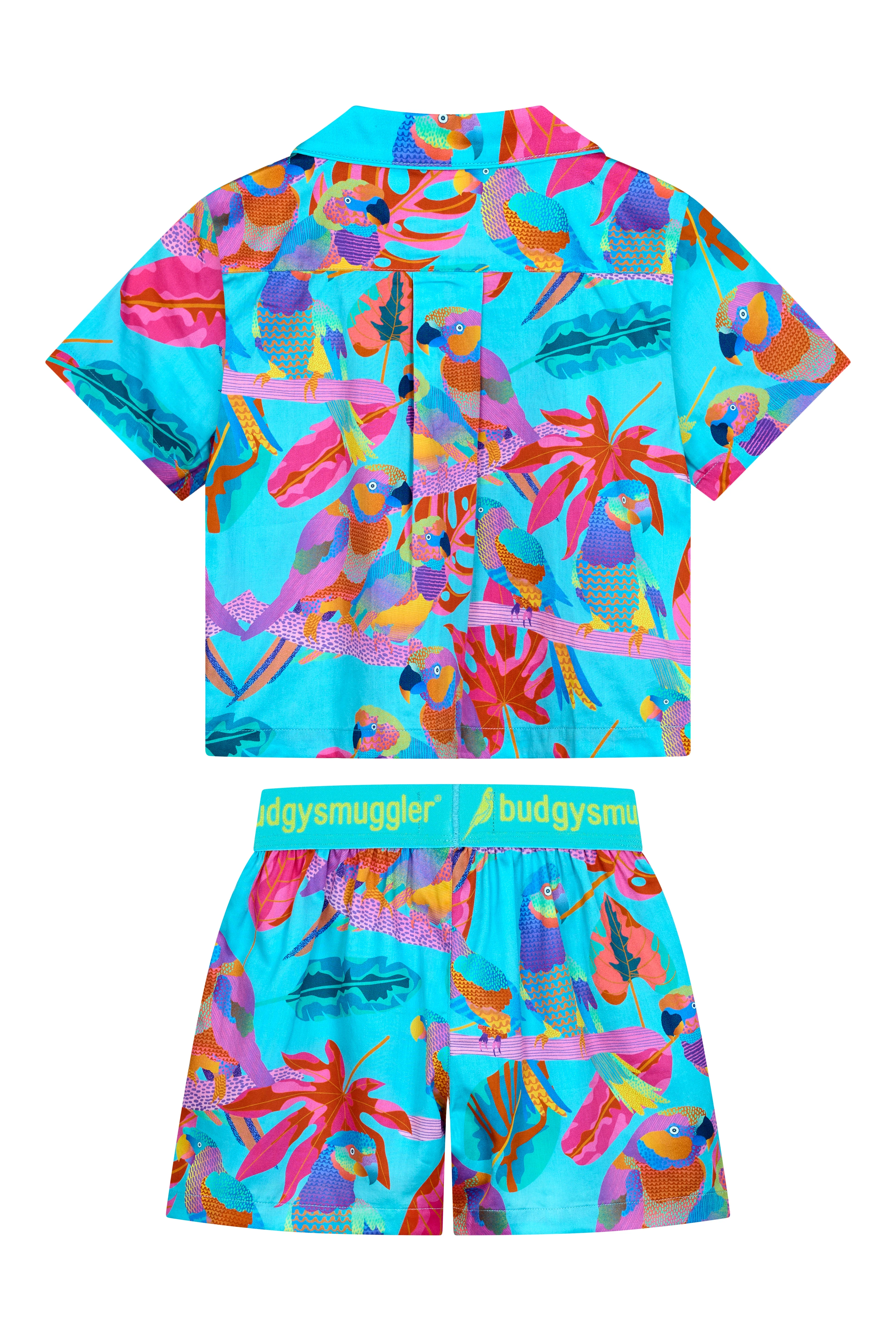 Miniature 2
